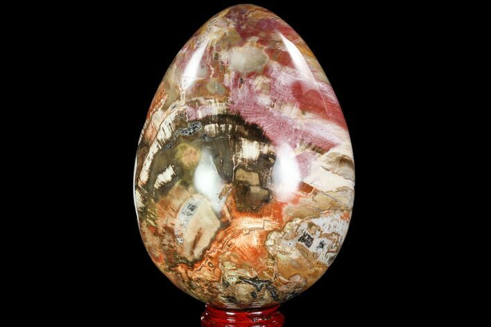 Colorful, Polished Petrified Wood Egg - Triassic #104624